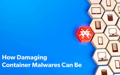 How Damaging Container Malwares Can Be